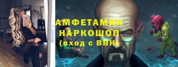 спиды Богданович