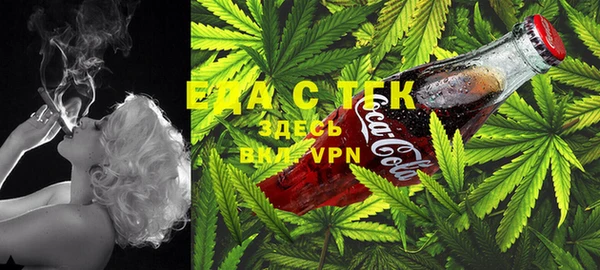 спиды Богданович