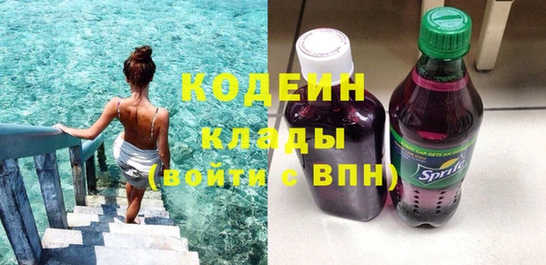 дмт Бородино