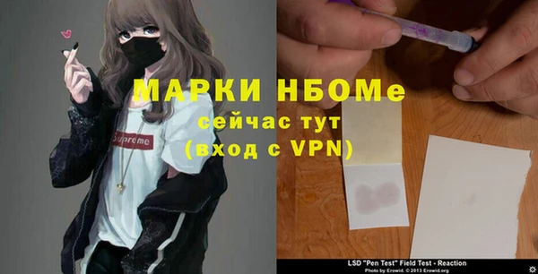 дмт Бородино