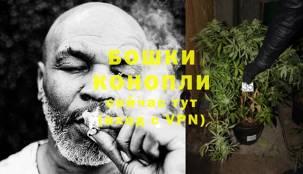 спиды Богданович