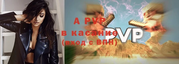 спиды Богданович