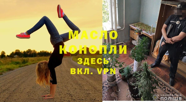 дмт Бородино