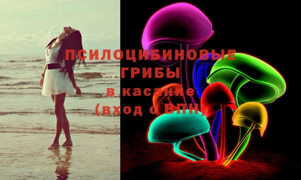соль ск Бронницы