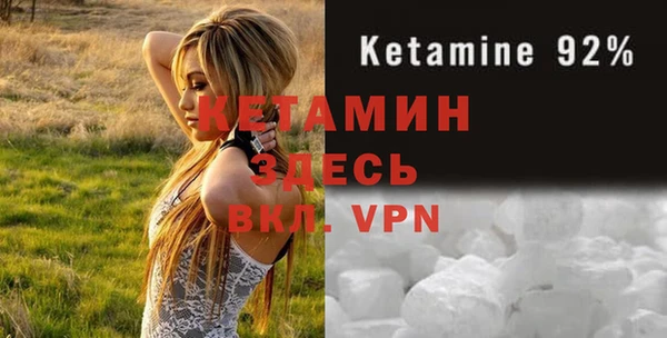дмт Бородино