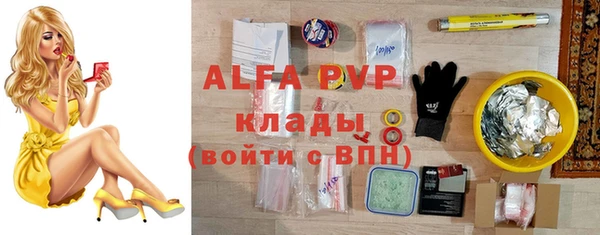 спиды Богданович