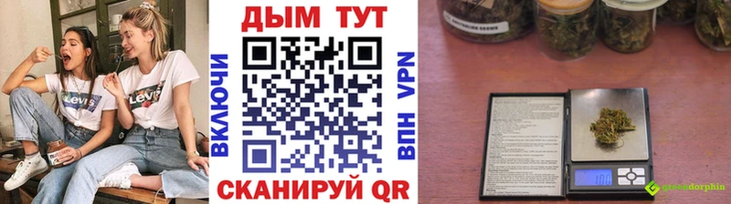 гидра маркетплейс  Кимовск  Шишки марихуана Ganja 